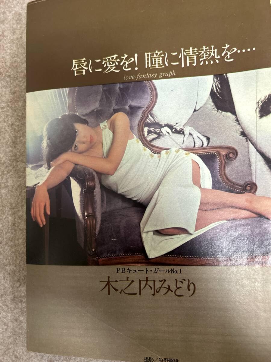 【週刊プレーボーイ】 71Ue7jmpR9L._AC_UF350,